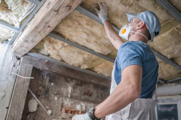 Best Cellulose Insulation in New Paris, IN