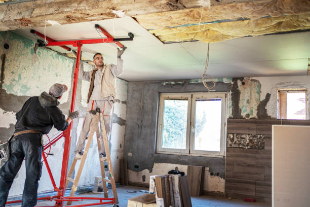 Best Cellulose Insulation in New Paris, IN