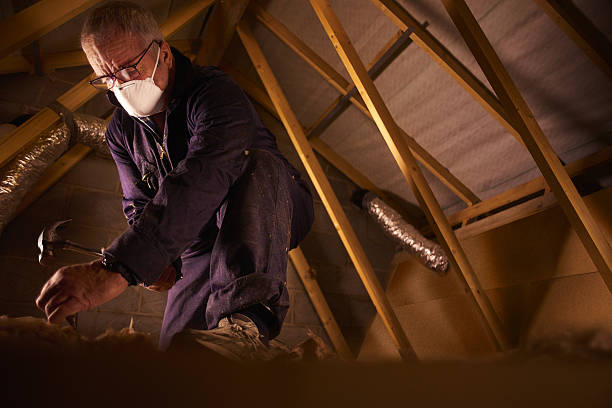 Best Specialized Insulation Services in New Paris, IN